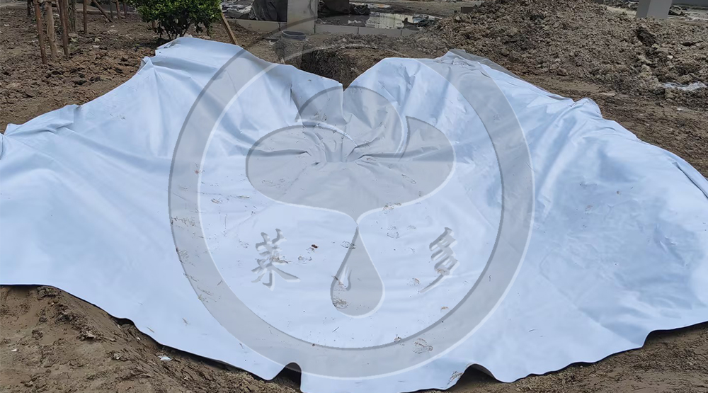 泥城社區(qū)DE06-G-1地塊配套中學(xué)海綿城市、雨水回收